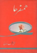 همسفرها- تالیف علی محمد افغانی